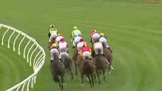 Vamos Stakes 2025 - GEEGEES MISTRUTH (3YO+ G3 WFA FM) Group 3 Launceston 26 February