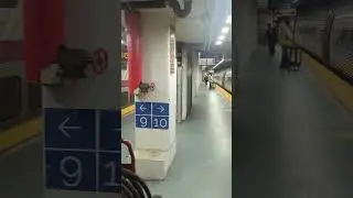 Arriving at Penn Station NYC for the First Time, it's Wild