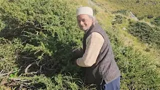 Devta jamlu baragran