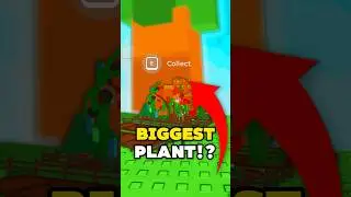😱 I GOT THE *BIGGEST* PLANT?! (WORTH TRILLIONS) | Grow A Garden Summer Update GLITCH? #growagarden