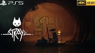 Stray | Chapter 8 - Sewers | Trip with Momo | Cat Adventure Game | PS5 4K 60fps | Ultra Realistic