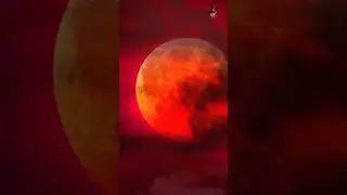 Blue Moon | August | Facts | Malayalam | I am SP #youtubeshorts #amazingfacts #funfacts