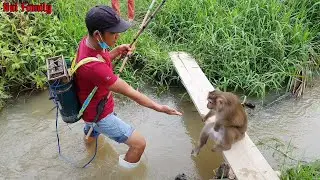 NUI watching electric fishing.  Do you have this type of fishing in your country?