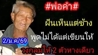 พ่อคำฝันเห็นแต่ช้างพูดไม่ได้วงกลมให้ 2 ตัวหางเดียว