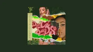 doja cat - say so (backyard bandits' quarantine flip)