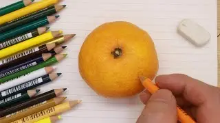 みかんを色鉛筆でリアルに描くのに挑戦 - Today is master-class: How to Draw a orange