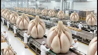 Inside India's Largest Factory: From Fresh Garlic To Premium Garlic Powder (Full Process)