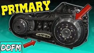 Harley Davidson Sportster Primary Oil Change