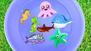 Looking Sea animals / Learn  animal names and facts for toddlers
