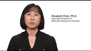 #TomorrowsDiscoveries: Improving Therapy for Muscle Degenerative Diseases&mdash;Dr. Elizabeth Chen