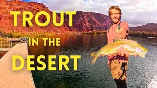 Trout Fishing the Colorado River | Catch and Cook in my Camper Van