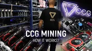 CCG MINING - How crypto farm Works?