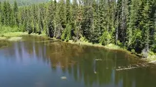 Campbell&rsquo;s Pond