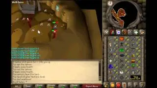 2007 Runescape- Killing Chaos Druids w/ Commentary