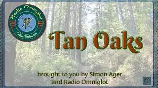 Celtic Pathways - Tan Oaks