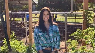 Effective Aphid Control Methods For Cucumber Plants: My Journey To Obtain a Pest-Free Garden