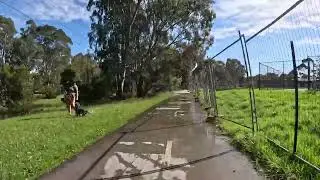 Morning Ride along the Darebin and Merri Creeks Loop Dec 2025