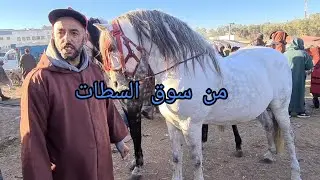 كان سوق السطات اليوم مليح وفيه مايتشاف اللهم بارك