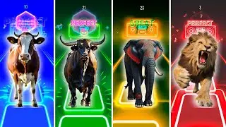 Tiles Hop Animals Challenge 🐄🐂🐘🦁 | Cow vs Bull vs Elephant vs Lion | Perfect Beats