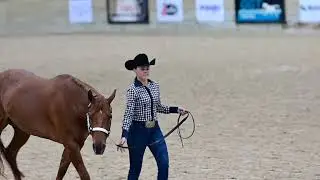 Nutrena Ride the Pattern Clinic: Showmanship