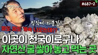 바다의 우유, 제철 생굴을 쌓아놓고 먹는 이곳｜자연인 다시보기 687-2