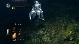 Dark Souls : Darkroot Basin