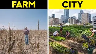 Crops Grow BETTER In The City.. Here's Why