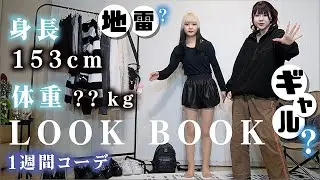 高校生が姉を地雷・量産系？ギャル系？でコーデ【LOOK BOOK】してみたら…【のえのん】