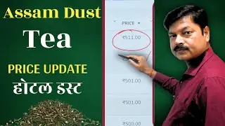 Assam Dust Tea Latest Price #teabusiness #teaeducation #teaindustry @chaiguru