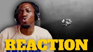Little Simz - Lotus REACTION/REVIEW