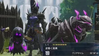 モンハンライズ MR風神龍イブシマキヒコ討伐3分 貫通ライト マスターランク