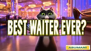funny cat works as a waiter #FunnyCat #CatWaiter #AnimalShorts #PetComedy #CatVideo #Shorts