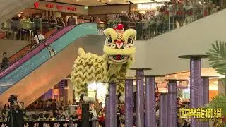 新加坡騰陽龍獅體育會 Singapore Teng Yang Dragon & Lion Dance Association