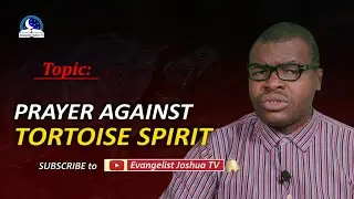 Deliverance Prayers Against Tortoise Spirit - Spiritual Meaning of Tortoise