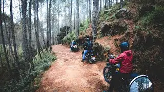 Mallika Mata Mandir || Almora To Mallika Mata Mandir || Uttarakhand