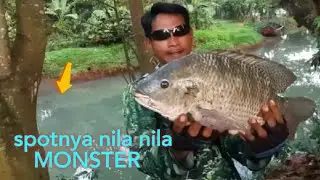 NGERI NGERI SEDAP || IKAN NILA BABON KENA LAGI || paser ikan
