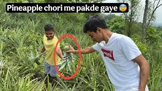 Pineapple ke khet me chori 😨 pakde gaye ? | Mizoram  Episode 11