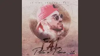 Plata O Plomo