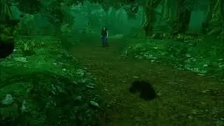 Racoon City's Arklay Forest Ambience with Silent Hill 2 Music