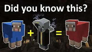 Did you know this? - Minecraft Evoker - Blue sheep - Red sheep