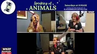 Speaking of Animals with Amy Carotenuto - Opossum Fun with Wildlife Rescue Coalition!