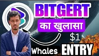 Bitgert token price $1 in 2025 | Why Brise Coin Down | Brise coin price Recovery करेगा Possible है 