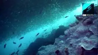 Diving Marine Station in Mactan, Cebu island, Philippines