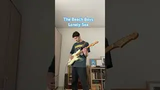 #thebeachboys #surfrock #lonelysea #danilkartun #blueskel #guitar #stratocaster #thebeatles #rock