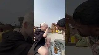 Fish 👀😂 Party 24 #shorts #shortsfeed #shortvideo #fish #party