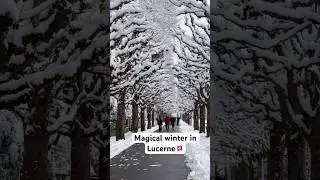 I love Lucerne #lucerne #switzerland #magicalwinter #snow #ytviral #ytshorts #shorts #short #yt