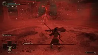 New Convergence Mod Boss Godskin Matriarch (No Damage) - Elden Ring