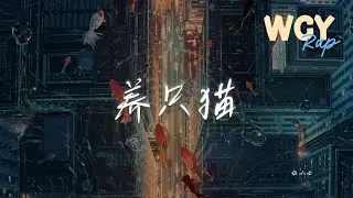 伍六七 - 养只猫「看着你笑看着泪在雨中飘 看着你懵懂的眼睛」【動態歌詞/Lyrics Video】#伍六七 #养只猫 #動態歌詞