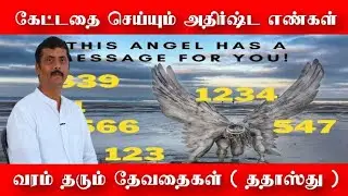 பணம் வேணுமா இந்த நம்பரை சொல்லுங்க பொருளாதாரம் உயரனுமா தேவைதைகள் உங்களுக்கு குடுப்பாங்க | sitharyugam