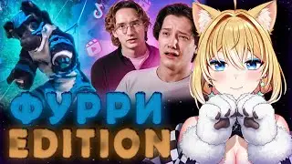 ПЛАНЯ РЕАКЦИЯ: ТИК ТОКИ ЖАНРА «ДОЛИСТАЛСЯ» 3 (ФУРРИ EDITION) / это всё.
